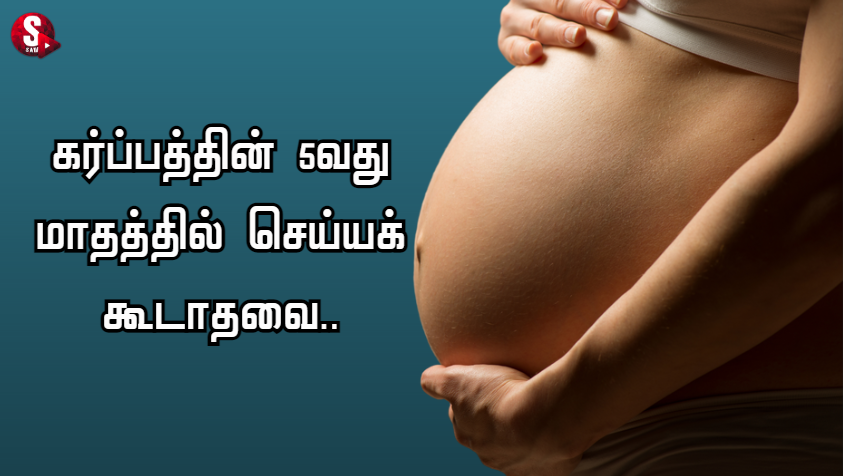 கர்ப்பம் மாதம் 5: கர்ப்பத்தின் 5வது மாதத்தில் செய்யக் கூடாதவை.. | Precautions During 5th Month of Pregnancy image