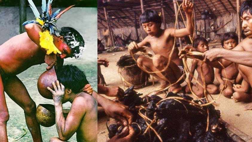 இறந்தவர்களின் உடலை சூப் வைத்து குடிக்கும் மக்கள்.. விநோத சம்பவம்.. | Yanomami Tribe image