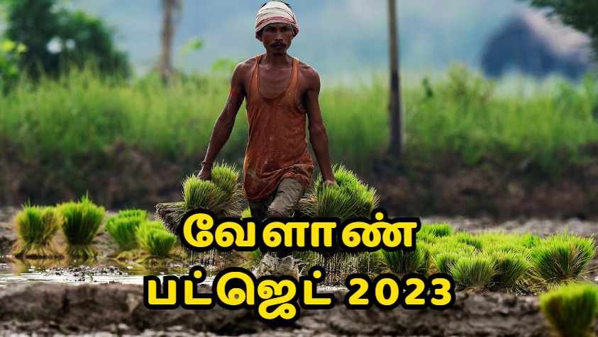 வேளாண் பட்ஜெட்டில் இடம்பெற்ற 10 சூப்பர் அறிவிப்புகள்.. | Agriculture Budget 2023-24 Highlights in Tamil