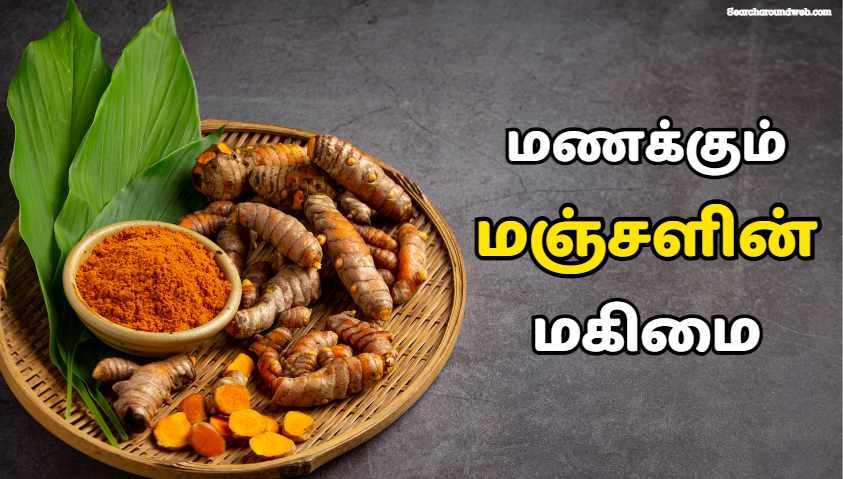 மணக்கும் மஞ்சளின் மகிமை.. | Turmeric Benefits in Tamil 
