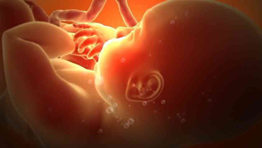 விரைவில் கருத்தரிக்க என்ன செய்ய வேண்டும்? | How to Get Pregnant Fast Naturally in Tamil