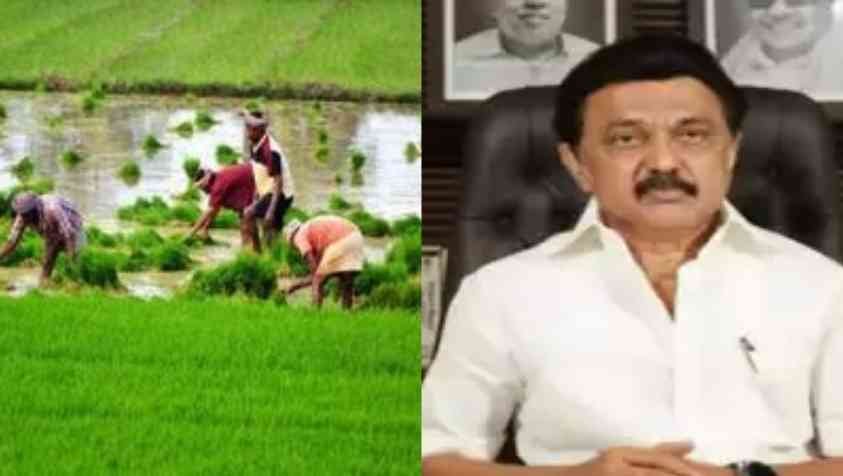 Schemes for Farmers in Tamilnadu: அரசு வெளியிட்ட புதிய திட்டம்…! இனி விவசாயிகளுக்குக் கவலை இல்லை…!