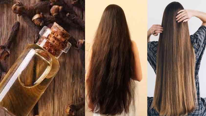 How to Make Clove Oil for Hair at Home: இந்த ஒரு ஹேர் ஆயில் போதும் முடி நீளமாகவும் அடர்த்தியாகவும் வளர….
