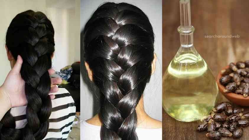 Hair Growth Tips in Tamil | முடி வளர டிப்ஸ்..! - Search Around Web