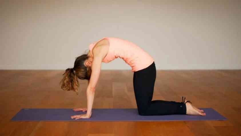 Yoga Poses for Beginners: முதல் முறையாக யோகா செய்பவர்களுக்கான ஆரம்ப நிலை யோகா பயிற்சிகள்..!!