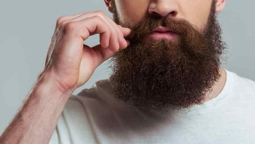 Best Beard Growth Oil for Men: தாடி வளர்ச்சியை அதிகரிக்கும் பெஸ்ட் பியர்ட் ஆயில்...!! 