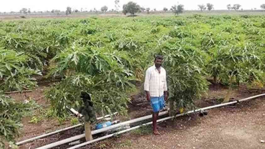 Farmer Subsidy in Tamilnadu: விவசாயிகளே..! உங்களுக்கான மானியத் தொகை ரெடி..! விண்ணப்பிப்பதற்கான வழிமுறைகள் இங்கே….!