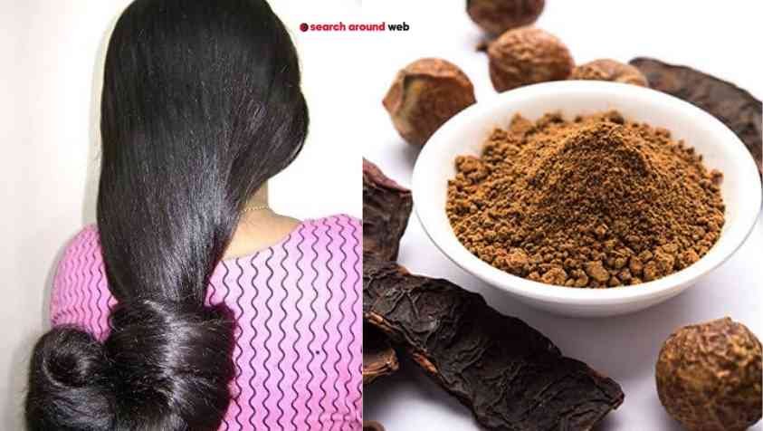 How to Make Shikakai Powder at Home in Tamil: நீளமான கூந்தலுக்கு ஒரிஜினல் சீயக்காய் பொடி.. இப்படி அரைத்து பாருங்க…!!