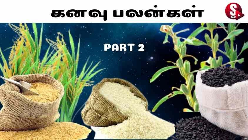 Kanavu Palangal in Tamil: கனவில் தானியங்களை பார்த்தால் இதுவா நடக்கும்..?