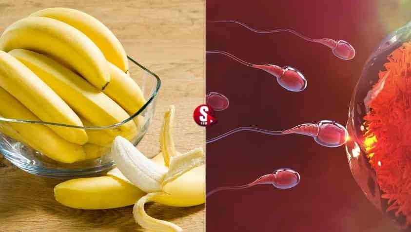 How to Increase Men’s Sperm Count Naturally in Tamil: ஆண்களுக்கு விந்தணுக்களின் எண்ணிக்கையையும், அதன் வீரியத்தையும் அதிகரிக்கும் உணவுகள்..!!