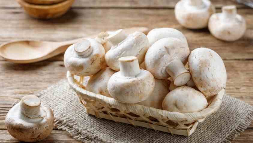 Mushroom Benefits in Tamil: காளான்களில் இத்தனை வகை இருக்கா? ஆனால் இந்த வகைகளை மட்டும் தான் சாப்பிடனுமா..? 
