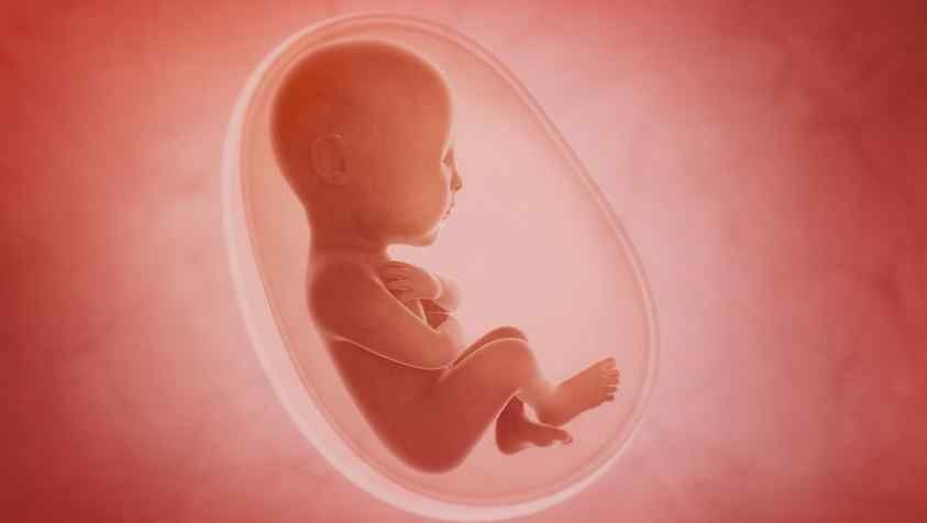 கர்ப்பம் மாதம் 5: கர்ப்பத்தின் 5 மாதத்தில் கருவின் வளர்ச்சி மற்றும் அளவு.. | Baby Development in 5 Months Pregnant