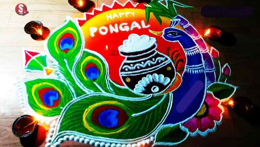 உங்க வீட்டை அலங்கரிக்க புதிய பொங்கல் கோலங்கள்.. | New Pongal Kolam Designs 2023