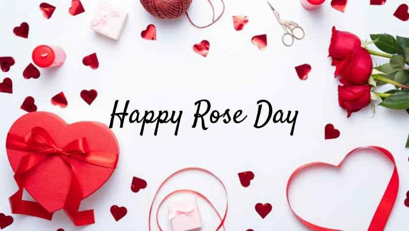 காதலர் வாரம்: முதல் நாளே ரோஸ் டே ஏன்? எதற்கு? | Rose Day 2023 Special