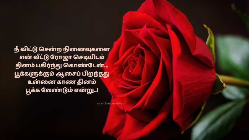 ரோஸ் டே-க்கு எப்படி ப்ரோபோஸ் பண்ணலாம்..? | Happy Rose Day Wishes in Tamil
