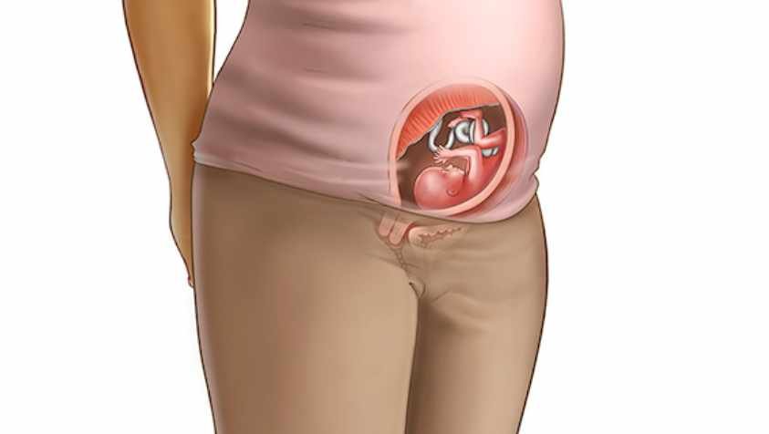 கர்ப்பம் மாதம் 4: கர்ப்பத்தின் 4வது மாதத்தில் கருவின் வளர்ச்சி மற்றும் அளவு.. | Baby Development in 4 Months Pregnant